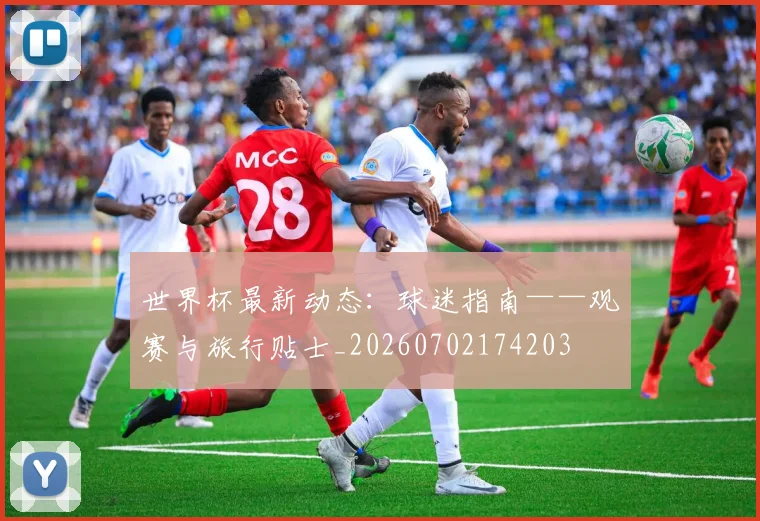 世界杯最新动态：球迷指南——观赛与旅行贴士_20260702174203