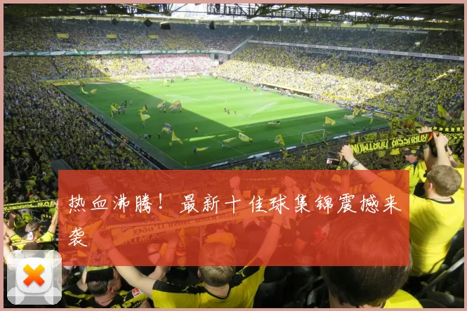 热血沸腾！最新十佳球集锦震撼来袭
