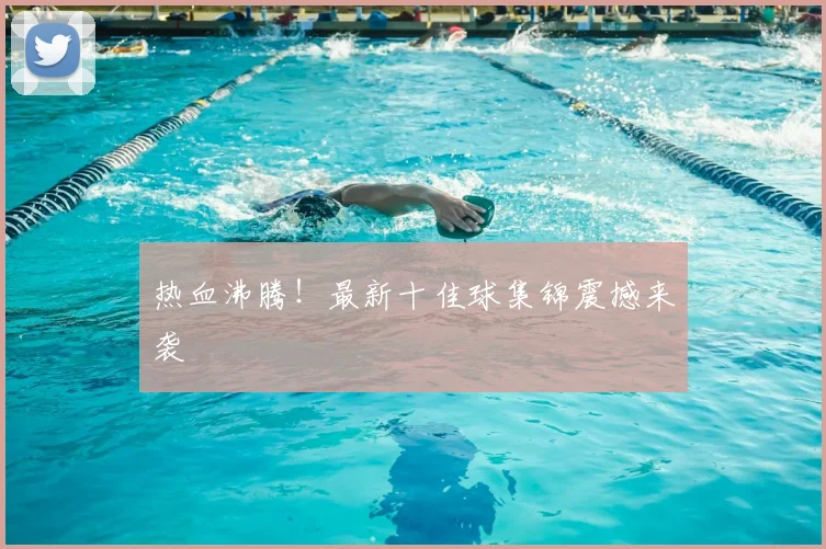热血沸腾！最新十佳球集锦震撼来袭
